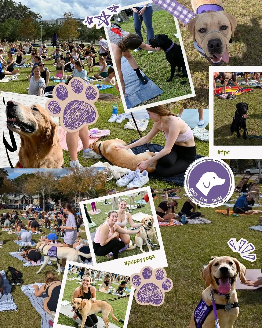 Thank you to everyone who came out to our puppy yoga event today! We had an amazing turnout and raised lots of money for @dogsinc.official. It was also a great opportunity for our service dogs in training to practice with distractions (ex. keys, shoes, water bottle, their friends) and work in bigger crowds. They definitely enjoyed the love after their hard work! \ud83d\udc3e\ud83e\uddd8\u200d\u2640\ufe0f\ud83d\udc15\n\nBig thank you to Kate Kochis for leading our yoga session!! And thank you to @nine31apts for co-hosting the event with us!