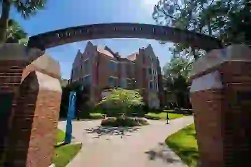 Walk to UF campus