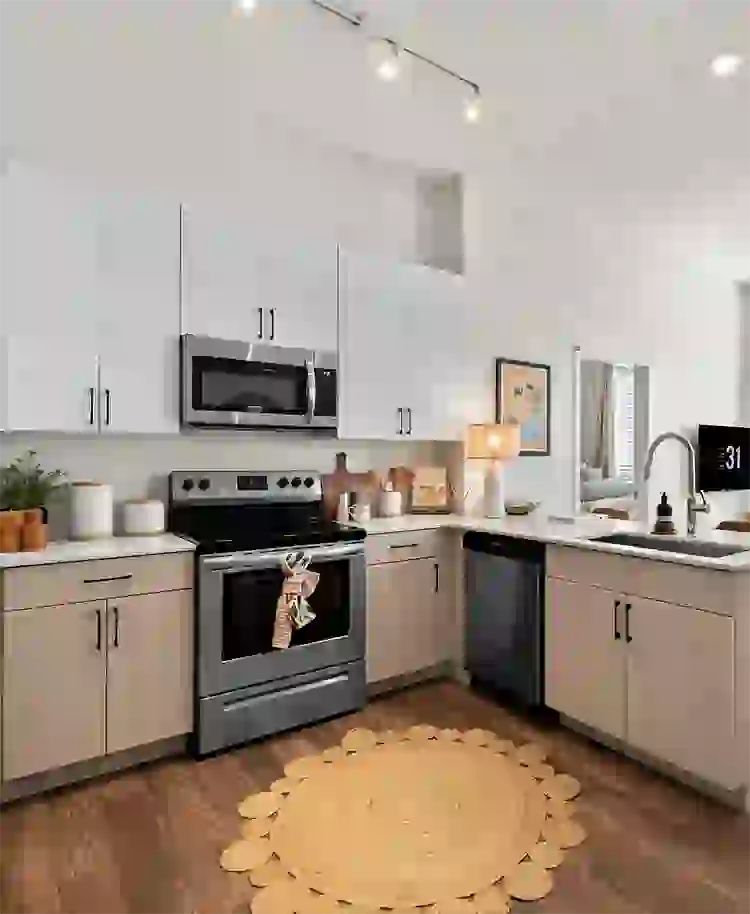 Top-of-the-line appliances